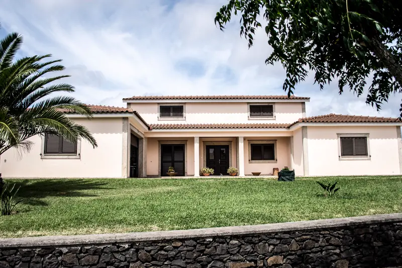 White stucco home with a green lawn and palm tree