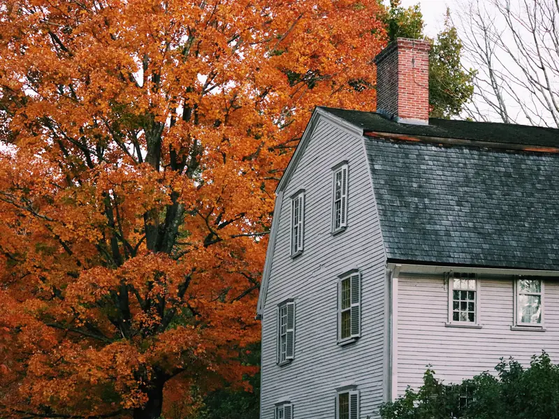 Gray-shingled 1790 Cape beside a bright orange maple