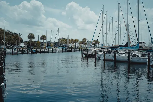 Sailboats docked at a calm St. Petersburg marina on a sunny day