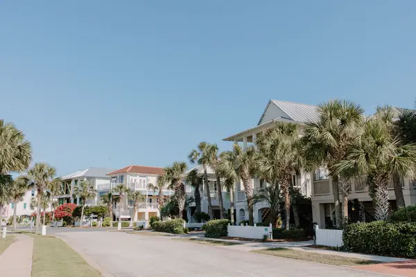 A quiet Tampa street lined with palm trees and two-story homes
