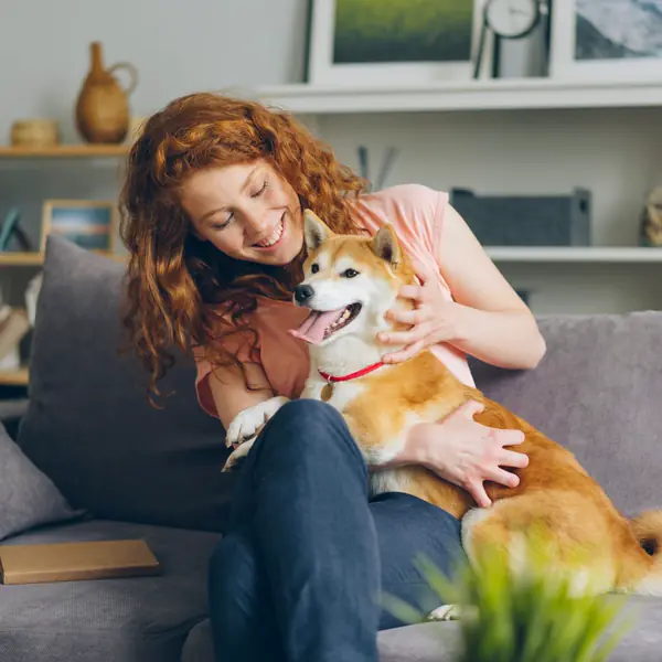 A woman hugs her Shiba Inu on a gray sofa at home