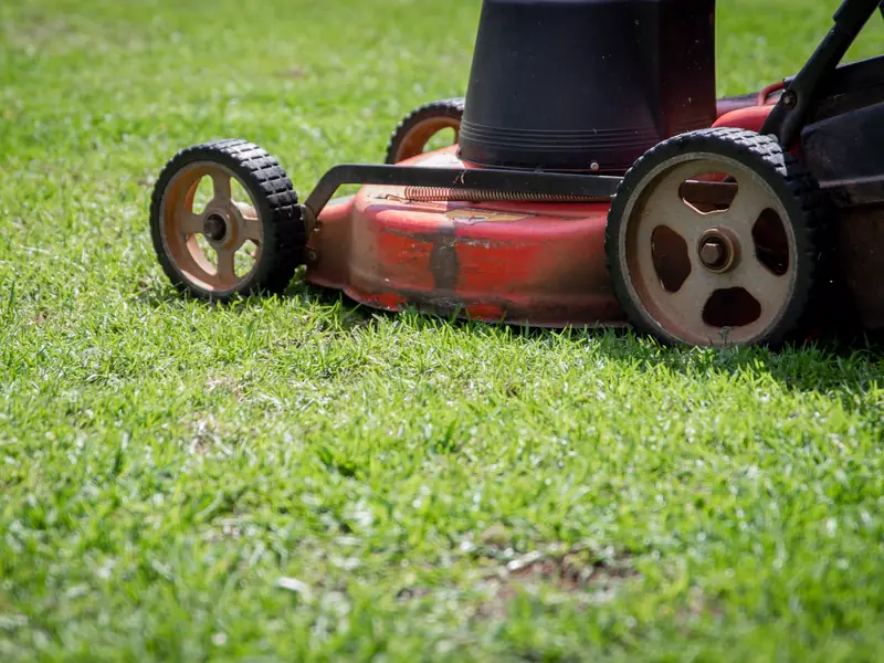 A red push mower cutting thick green grass