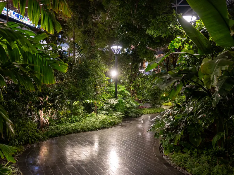A brick path through a dense shade garden, lit by low lamps at night