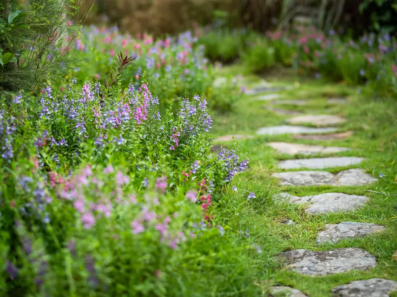 Stepping stones leading through soft purple and pink flowering perennials
