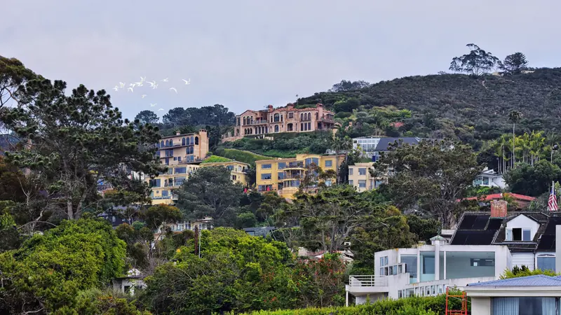 Hillside homes among trees in San Diego