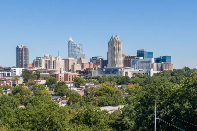 Downtown Raleigh skyline above a canopy of green trees