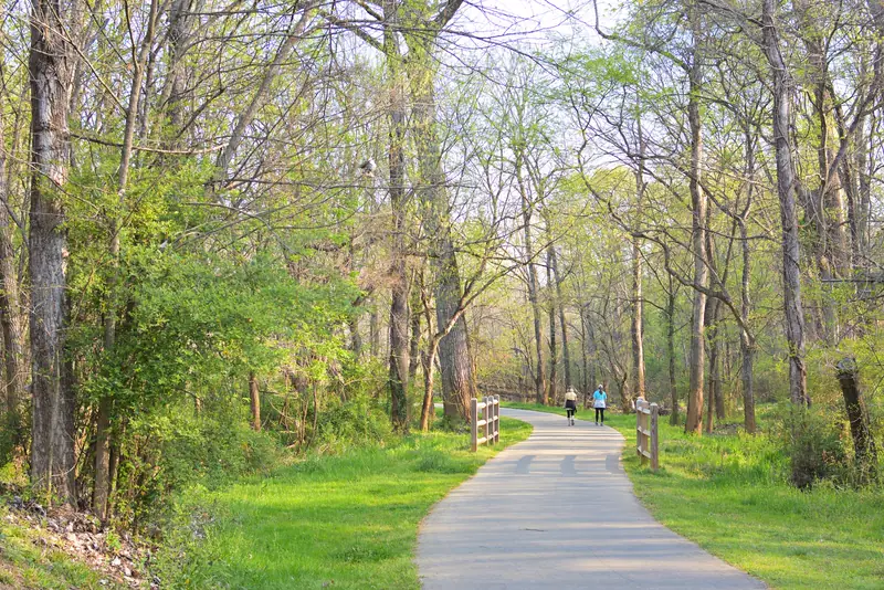 Paved greenway trail through a green spring forest